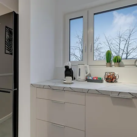 Hallera By Downtown Apartment Danzig